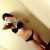 Zevki Sunan Ateşli Kumluca Escort Alev - Image 1