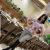 Harika Saatlerin Hatunu VIP Alanya Escort Dilek - Image 1