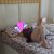 Seks için Hazır Beylere Sınırsız Escort Buse - Image 4